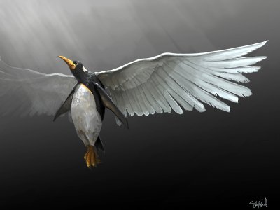 20080225155312-pingu-firefox.jpeg